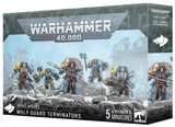 Space Wolves: Wolf Guard Terminators